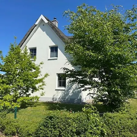 فيلة Reethaus Koenigshoern Haus Am Mit Eingezaeuntem Grundstueck Hunde Willkommen