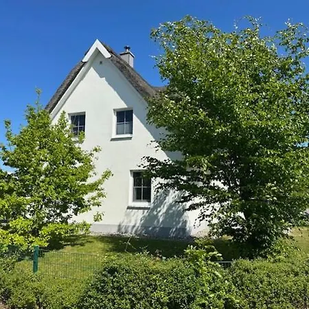 فيلة Reethaus Koenigshoern Haus Am Mit Eingezaeuntem Grundstueck Hunde Willkommen